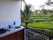 Top Ubud