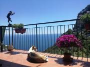 Top Amalfi Top Amalfi