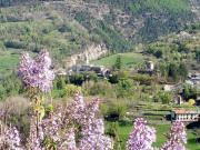 Maison dAntan Maison dAntan