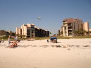 Top Siesta Key