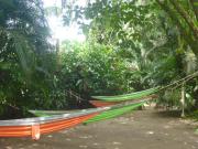 Top Tortuguero
