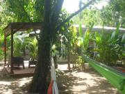 Top Tortuguero