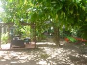 Top Tortuguero