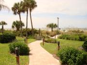 Top Siesta Key