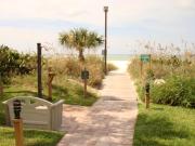 Top Siesta Key