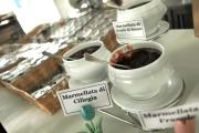 Top Bellaria-Igea Marina
