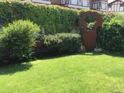 Top Cirueña