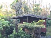 Top Pahoa
