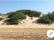 Top Santa Maria Del Focallo