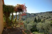 Top Fiesole
