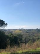 Top Florence Top Florence