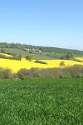 Top Exeter