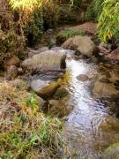 Top Petreto-Bicchisano