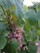 Top Châteauneuf-le-Rouge