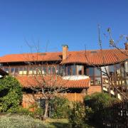 Top Celorio