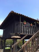 Top Celorio