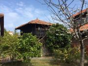 Top Celorio