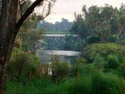 Top Bridgetown