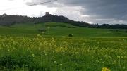 Top Castiglione dʼOrcia