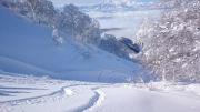 Nozawa Dream Central Nozawa Dream Central