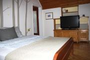 Top Zrenjanin