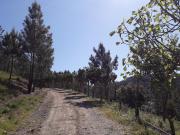 Top Ferreira do Zêzere