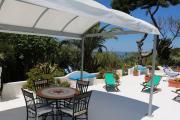 Top Ponza