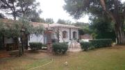 Top Denia