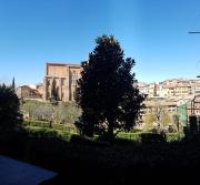 Top Siena