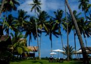 Bon Ton Antique Wooden Villas