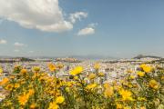 Top Athens Top Athens