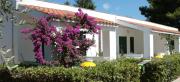 Villaggio Turistico Residence Delfino