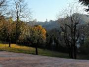 Top Urbino
