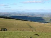 Top Newtown