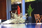 Top Siem Reap Top Siem Reap