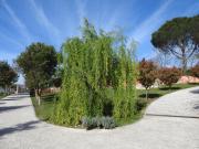 Alloggio Turistico Confortevole Passo Corese