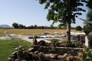 Top Viterbo