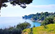 Top Castellabate