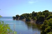 Top Castellabate