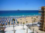 Santa Margarita - Fincas Arena