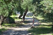Top Finale Ligure