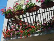 Top Castello delle Forme