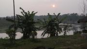 Top Sauraha
