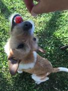 Top Camigliatello Silano