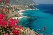 Top Capo Vaticano