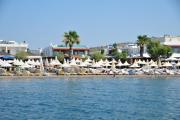 Top Ortakent