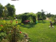 Agrib&B Lemontree GardeN