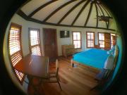 Top Bullet Tree Falls Top Bullet Tree Falls