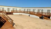 Top Carlsbad