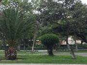 Apartamento Rinconcito de Luz